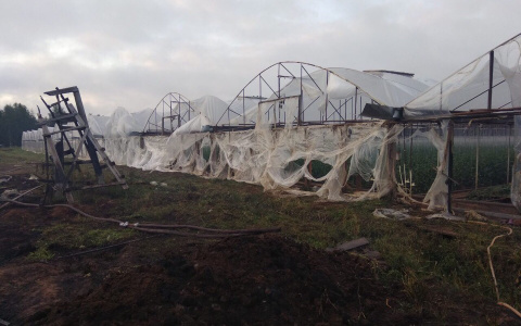 В Кировской области в пожаре в тепличном комплексе погибли четверо рабочих