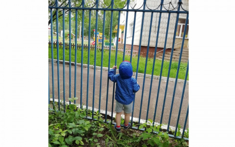 "За частный детсад надо отдать ползарплаты": мама из Кирова рассказала, почему выйдет на митинг к администрации