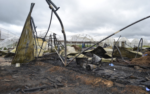 В реанимации умер пятый работник тепличного комплекса, сгоревшего в Шабалино