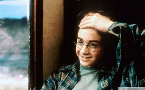 Тест в честь дня рождения Гарри Поттера: кто есть кто