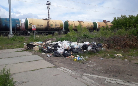 В Кировской области с 1 сентября изменят тариф на вывоз мусора