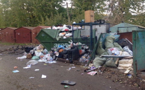 Известна организация, которая определит объемы накопления ТКО в Кировской области