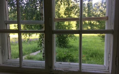 Кировская область в середине рейтинга по психическими расстройствам