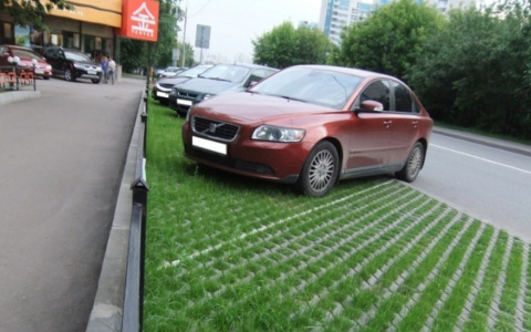 Остановка на газоне разрешена: в Кирове обустроят экопарковку