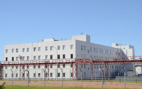 Глава Мирного рассказала, почему обиделась на слово "палач" и написала заявление на мать 5 детей