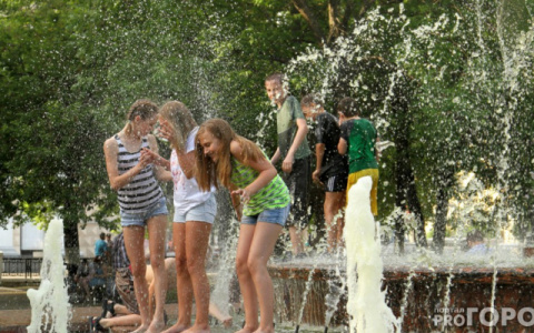 Что обсуждают в Кирове: уроки вождения для инвалидов и приход тепла