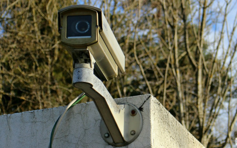 Внимание, водители: наличие ОСАГО стали проверять по дорожным камерам