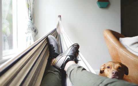 Гороскоп на воскресенье, 11 августа: покупки у Львов и неуместные споры у Раков