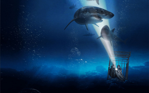 Дочь Сталлоне с акулами и книга старшных сказок: главные хорроры недели