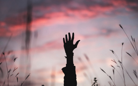 Cтало известно, сколько человек умерли в прошлом году в Кирове