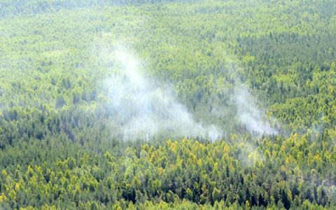 В Кировской области предупредили о пожарной опасности в лесах