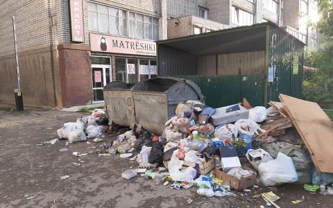 В "Куприте" прокомментировали свалку рядом с контейнерами на Милицейской