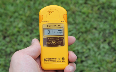 Что обсуждают: уровень радиации и нашествие мошек