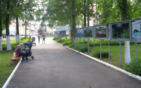 В Кирове в честь 1 сентября устроят городской праздник для детей