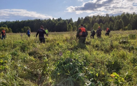 Кировчанин оставил все дела и поехал в Нижний Новгород искать пропавшую 5-летнюю девочку