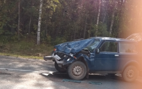 Огромная пробка на трассе: в Кировской области столкнулись две «Нивы»