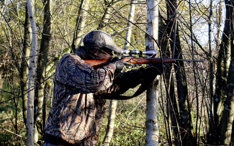 В Кировской области охотник случайно прострелил себе руку