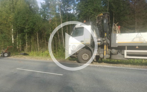 В аварии в Кировской области погибли 12-летняя девочка и пенсионер