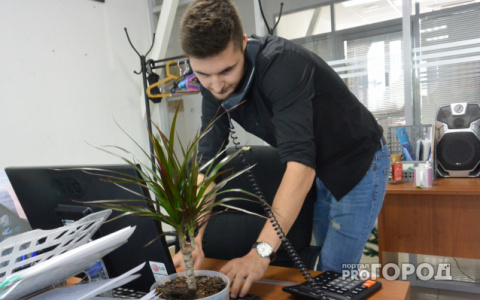 Стало известно, на какие должности труднее всего устроиться в Кирове