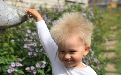 Что обсуждают в Кирове:историю необычного мальчика и отмену маршрутов