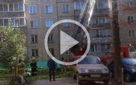 В Кирове спасатели сняли с крыши 5-летнего ребенка