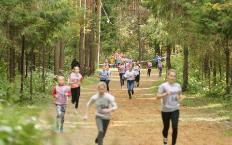 В Кирове в Порошино состоится «Кросс нации – 2019»