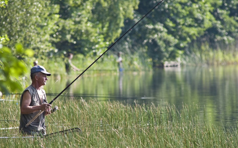 Суточная норма и другие запреты: в Кировской области изменятся правила рыбалки