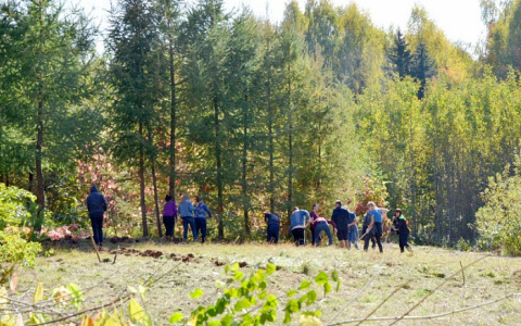 В Кирове появится питомник коллекционных растений