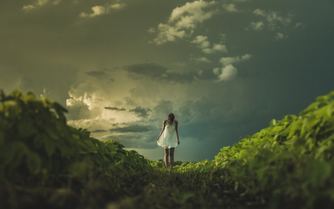 Тест ко дню рождения «Гринпис»: хорошо ли вы знаете русскую природу