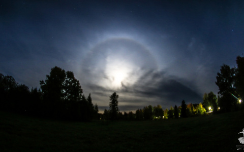 Что обсуждают в Кирове: оптическое явление в небе и опасные помидоры