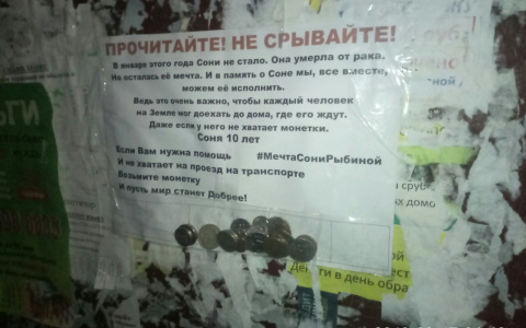 Кировчане присоединились к флешмобу в память о девочке, умершей от рака