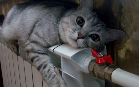 Стало известно, когда в Кирове включат отопление