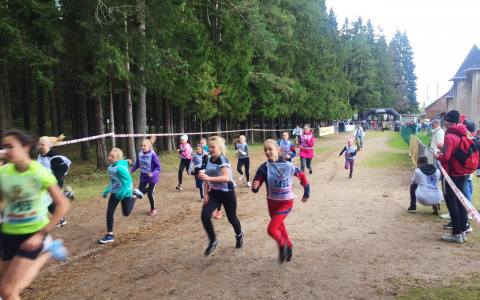 Фоторепортаж: в Кирове прошел "Кросс нации - 2019"