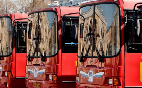 Кировские экологи назвали 20 автобусов, которые почти не портят воздух