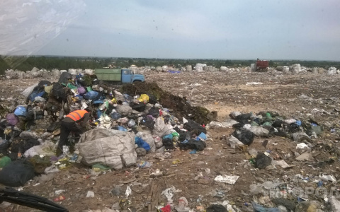 Бизнесменов в Кировской области наказали за свалки