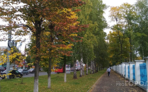 Сентябрь в Кировской области стал самым холодным за последние 19 лет