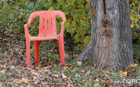 Пасмурно и прохладно: появился прогноз погоды на выходные в Кирове