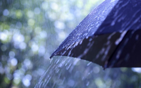 Пора готовить зонт: прогноз погоды в Кирове на следующую неделю
