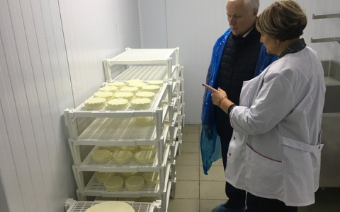 В Кировской области запустили сыроварню для производства элитного сыра