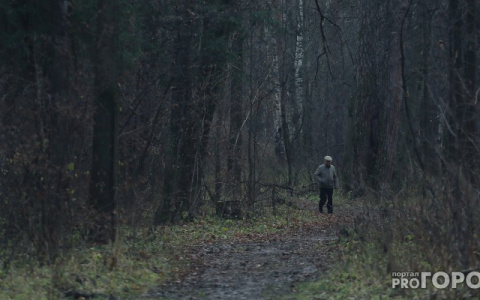 Отец прятался в лесу от сына, который его избивал: подробности уголовного дела