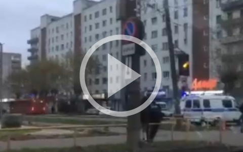 В Кирове оцепили часть улицы, работали кинологи: подробности происшествия