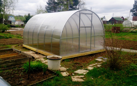 Прочность, длина и легкость: раскрываем секреты продавцов теплиц