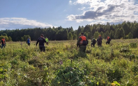 Что обсуждают в Кирове: остановленные поиски женщины и прогноз погоды