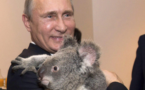 Тест к дню рождения президента: интересные факты о Владимире Путине