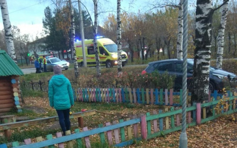 В Садаковском сбили пешехода с собакой: животное погибло