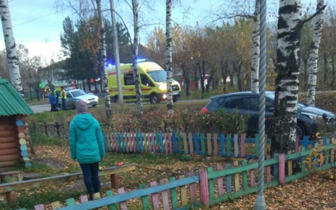 Трагедия в Садаковском: иномарка насмерть сбила мужчину с собакой