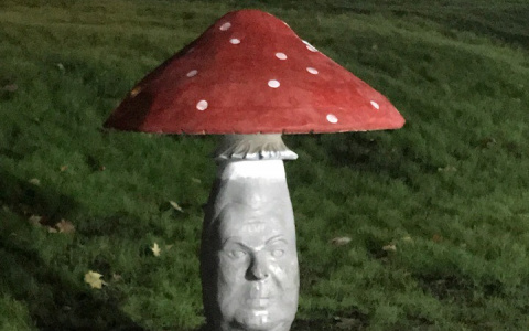Картофельная лошадь и мухомор с лицом: 10 странных кировских арт-объектов