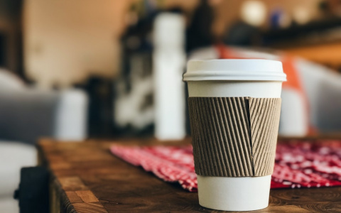 В Кирове могут запустить систему капшеринга ради экологии