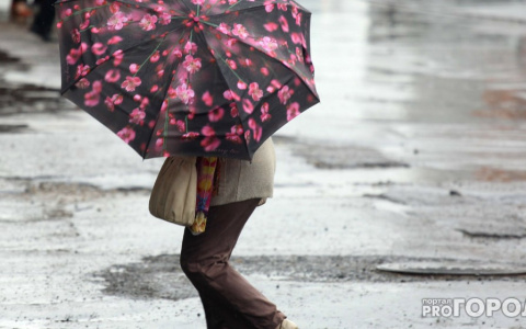 Тепло, но дождливо: известна погода на выходные в Кирове