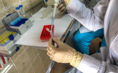 "С моей стороны ошибки нет": судмедэксперт рассказал про алкоголь в крови погибшего мальчика